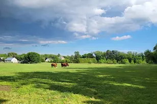 81 Old Deerfield Pike, Bridgeton, NJ 08302 - Photo 10