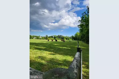 81 Old Deerfield Pike, Bridgeton, NJ 08302 - Photo 12