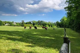 81 Old Deerfield Pike, Bridgeton, NJ 08302 - Photo 12