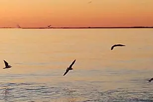 205 Pennsylvania, Fortescue, NJ 08321 - Photo 16