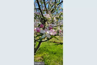 3259 S Union Road, Vineland, NJ 08361 - Photo 76