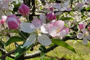 3259 S Union Rd, Vineland, NJ 08361 - Photo 76