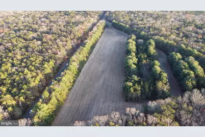 Route 347 and Carlisle Place Road, Dorchester, NJ 08316 - Photo 2