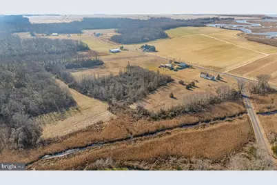321 Jones Island Road, Cedarville, NJ 08311 - Photo 38