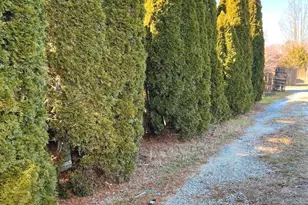 1802 Strawberry Ave, Port Norris, NJ 08349 - Photo 4