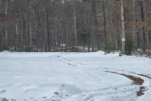 Lloyd Terrace, Millville, NJ 08332 - Photo 1