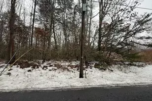 0 Lummistown, Cedarville, NJ 08311 - Photo 1