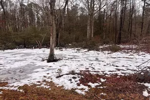 7357 William Ave, Millville, NJ 08332 - Photo 10