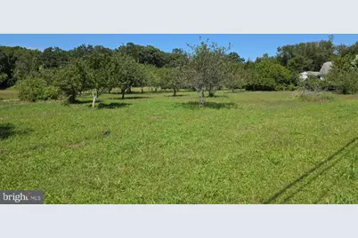 254 Fairton Gouldtown Road, Bridgeton, NJ 08302 - Photo 6