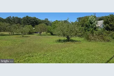 254 Fairton Gouldtown Road, Bridgeton, NJ 08302 - Photo 16