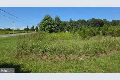 254 Fairton Gouldtown Road, Bridgeton, NJ 08302 - Photo 8