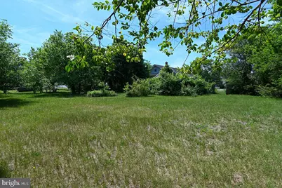8 Ward Avenue, Leesburg, NJ 08327 - Photo 4