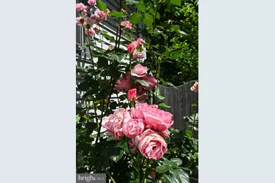8 Ward Avenue, Leesburg, NJ 08327 - Photo 10
