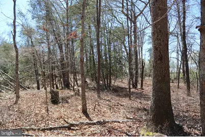 351 Shaws Mill Road, Newport, NJ 08345 - Photo 14