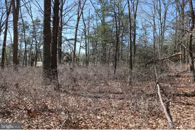 351 Shaws Mill Road, Newport, NJ 08345 - Photo 22