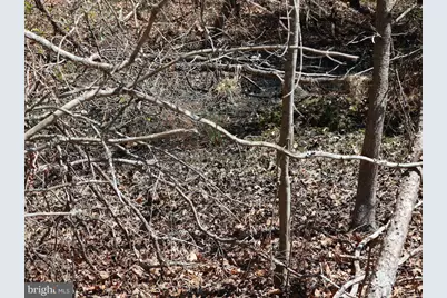 351 Shaws Mill Road, Newport, NJ 08345 - Photo 70