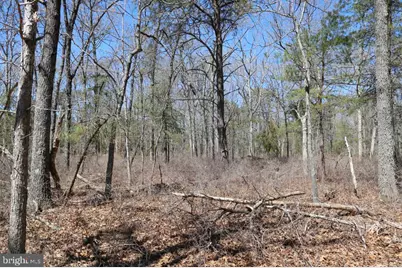 351 Shaws Mill Road, Newport, NJ 08345 - Photo 12
