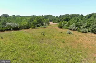 389 Fairton Gouldtown Rd, Bridgeton, NJ 08302 - Photo 24