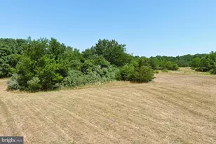 389 Fairton Gouldtown Rd, Bridgeton, NJ 08302 - Photo 24