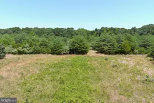 389 Fairton Gouldtown Rd, Bridgeton, NJ 08302 - Photo 26