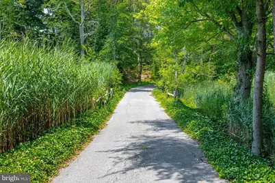 24 Back Neck Road, Fairton, NJ 08320 - Photo 2
