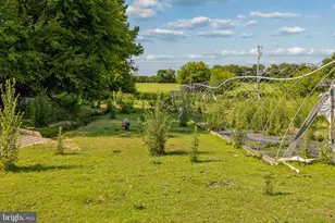424 Rte 540, Bridgeton, NJ 08302 - Photo 42