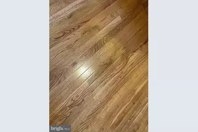 117 Linden Street, Camden, NJ 08102 - Photo 8