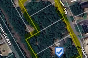 117 Maple Ave, Winslow Township, NJ 08089 - Photo 68