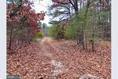 785 White Horse Pike, Waterford Township, NJ 08004 - Photo 6