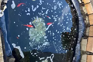 374 Walnut Ave, Gloucester City, NJ 08030 - Photo 10