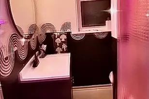 3044 Fenwick Rd, Camden, NJ 08104 - Photo 18