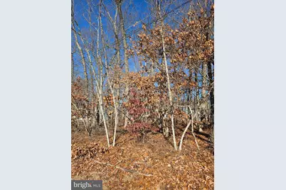 Thompson Ave, Winslow Township, NJ 08089 - Photo 2