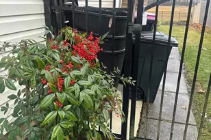 32 Roberts Dr, Somerdale, NJ 08083 - Photo 22