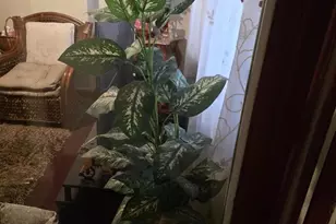 621 Henry St, Camden, NJ 08103 - Photo 2