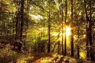 113 Parkview Rd, Stratford, NJ 08084 - Photo 34