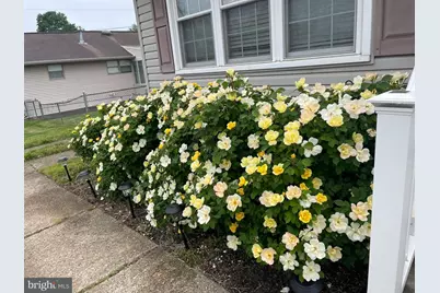 1101 Prospect Lane, Somerdale, NJ 08083 - Photo 28