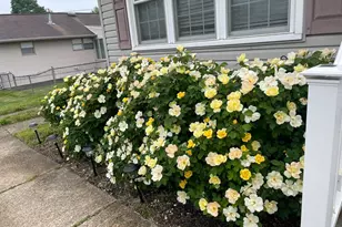 1101 Prospect Ln, Somerdale, NJ 08083 - Photo 28