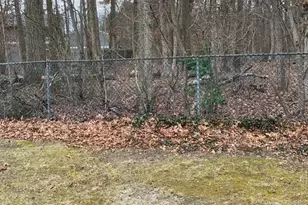 18 Spruce Dr, Sicklerville, NJ 08081 - Photo 20