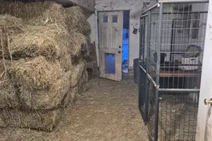 1655 Conrad Ave, Winslow Township, NJ 08089 - Photo 26