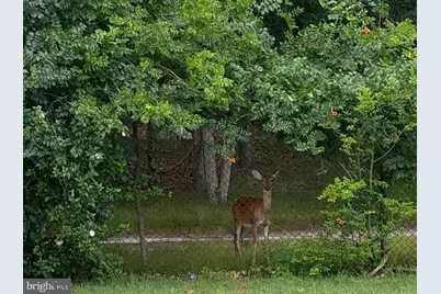 146 Country Club Road, Pine Hill, NJ 08021 - Photo 28