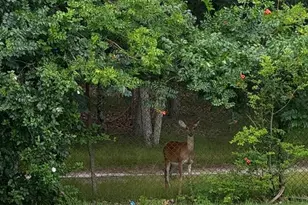 146 Country Club Rd, Pine Hill, NJ 08021 - Photo 28