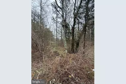 0 W Fleming Pike, Winslow Township, NJ 08037 - Photo 6