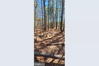 0 W Fleming Pike, Winslow Township, NJ 08037 - Photo 4