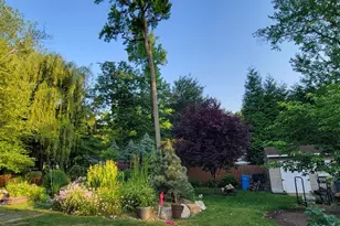 506 Garwood Dr, Cherry Hill, NJ 08003 - Photo 68