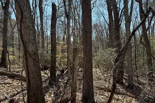 1557 Erial Rd, Gloucester Township, NJ 08012 - Photo 20