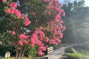 1017 Oaklyn Ct, Voorhees, NJ 08043 - Photo 40