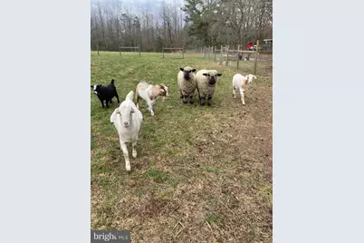 0 Angelow Road, Berlin, NJ 08009 - Photo 4