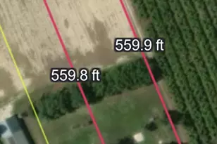 543 Spring Rd, Hammonton, NJ 08037 - Photo 2