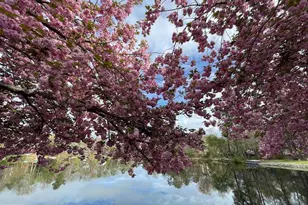 200 Wm Feather Dr, Voorhees, NJ 08043 - Photo 8