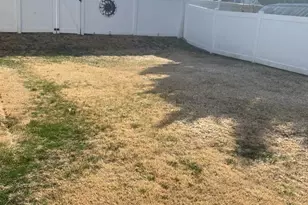 56 S Oakland Ave, Runnemede, NJ 08078 - Photo 12